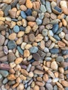Different Kinds, Colours, Shapes and Sizes of Gravels
