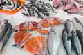 Different kinds of fish for sale