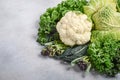 Different kinds of fresh organic cabbage on a gray concrete background.
