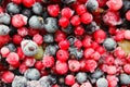 Different kinds of frozen berries, background, close-up. Royalty Free Stock Photo