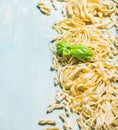 Different kinds of homemade fresh Italian pasta with basil leaves Royalty Free Stock Photo