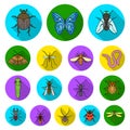 Different kinds of insects flat icons in set collection for design. Insect arthropod vector symbol stock web