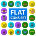 Different kinds of insects flat icons in set collection for design. Insect arthropod vector symbol stock web