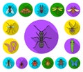 Different kinds of insects flat icons in set collection for design. Insect arthropod vector symbol stock web