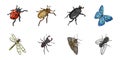 Different kinds of insects icons in set collection for design. Insect arthropod isometric vector symbol stock web