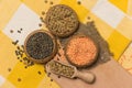 Different kinds of lentils Royalty Free Stock Photo