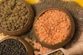 Different kinds of lentils Royalty Free Stock Photo