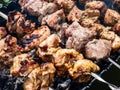 Different kinds of meat on metal skewers - pork and chicken grilling on fire, coals and smoke in grill. Macro of herbed and Royalty Free Stock Photo