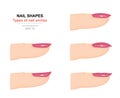 Different kinds of nail shapes. Types of nail arches. Science of human body. Side view. Vector Royalty Free Stock Photo