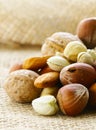 Different kinds of nuts (almonds, walnuts, hazelnuts) Royalty Free Stock Photo