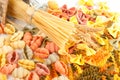 Different kinds of pasta