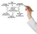 Kinds of Portfolio Diversification Royalty Free Stock Photo