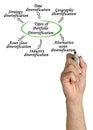 Kinds of Portfolio Diversification Royalty Free Stock Photo