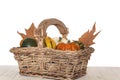 Different kinds of pumpkins and mapple dry leaves on wicker basket Royalty Free Stock Photo