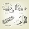 Different kinds of realistic cheese. Graphic vector collection.