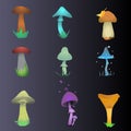 Different kinds of shrooms vector illustration