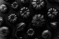 Different kinds of small pumpkins painted in black placed on dark background Royalty Free Stock Photo