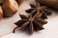 Different kinds of spices, nuts and dried oranges Royalty Free Stock Photo