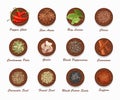 Different kinds of spices on wooden board. Realistic vector illustration. Royalty Free Stock Photo