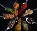 Different kinds of spices on a wooden table with spoon