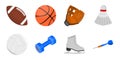 Different kinds of sports icons in set collection for design.