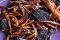 Different kinds of sun-dried hot peppers stacked haphazardly on a purple-colored background.