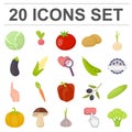 Different kinds of vegetables cartoon icons in set collection for design. Vegetables and vitamins vector symbol stock