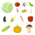 Different kinds of vegetables cartoon icons in set collection for design. Vegetables and vitamins vector symbol stock