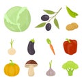 Different kinds of vegetables cartoon icons in set collection for design. Vegetables and vitamins vector symbol stock