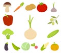 Different kinds of vegetables cartoon icons in set collection for design. Vegetables and vitamins vector symbol stock