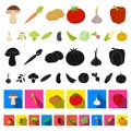 Different kinds of vegetables cartoon icons in set collection for design. Vegetables and vitamins vector symbol stock