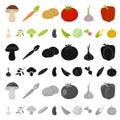 Different kinds of vegetables cartoon icons in set collection for design. Vegetables and vitamins vector symbol stock