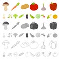 Different kinds of vegetables cartoon icons in set collection for design. Vegetables and vitamins vector symbol stock