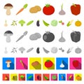 Different kinds of vegetables cartoon icons in set collection for design. Vegetables and vitamins vector symbol stock