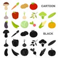 Different kinds of vegetables cartoon icons in set collection for design. Vegetables and vitamins vector symbol stock