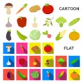 Different kinds of vegetables cartoon icons in set collection for design. Vegetables and vitamins vector symbol stock