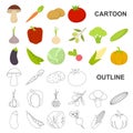 Different kinds of vegetables cartoon icons in set collection for design. Vegetables and vitamins vector symbol stock