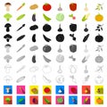 Different kinds of vegetables cartoon icons in set collection for design. Vegetables and vitamins vector symbol stock