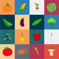 Different kinds of vegetables cartoon icons in set collection for design. Vegetables and vitamins vector symbol stock