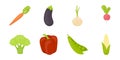 Different kinds of vegetables icons in set collection for design. Royalty Free Stock Photo