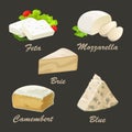 Different kinds of white cheese. Realistic vector illustration.