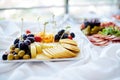 Different kinds of wine snacks: cheeses, crackers, fruits and olives on white table Royalty Free Stock Photo