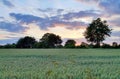 Different landscapes taken in notthern germany - forests, fields, lakes and beautiful skies Royalty Free Stock Photo