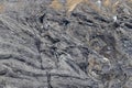 Different layers or folds in alpine rock developped during folding of the sediments.