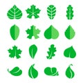 Different leaf set. Vector icons. Design eco elements isolate on white background Royalty Free Stock Photo