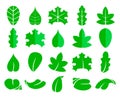 Different leaf set. Vector icons. Design eco elements isolate on white background. Green leaf tree, illustration of Royalty Free Stock Photo