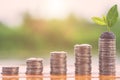 Different level of coin stack with water drop and tree growing o