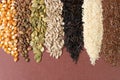 Different lines of cereals and seeds - corn, squash, coffee, rice, millet, sunflower, quinoa - on a brown surface