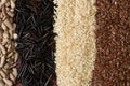 Different lines of cereals and seeds - corn, squash, coffee, rice, millet, sunflower, quinoa - on a brown surface