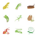 Different lizard icons set, cartoon style